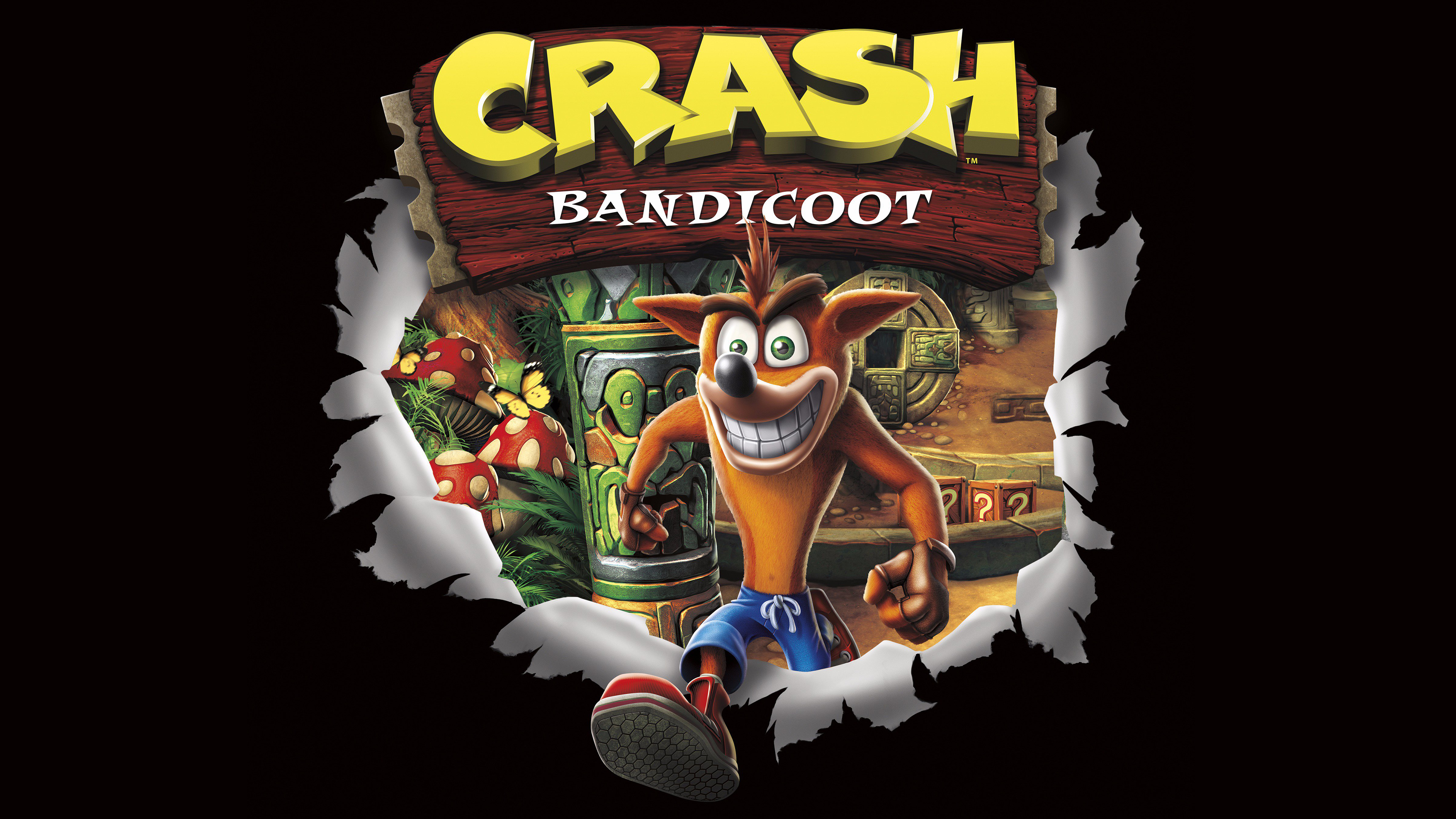 Crash Bandicoot – 