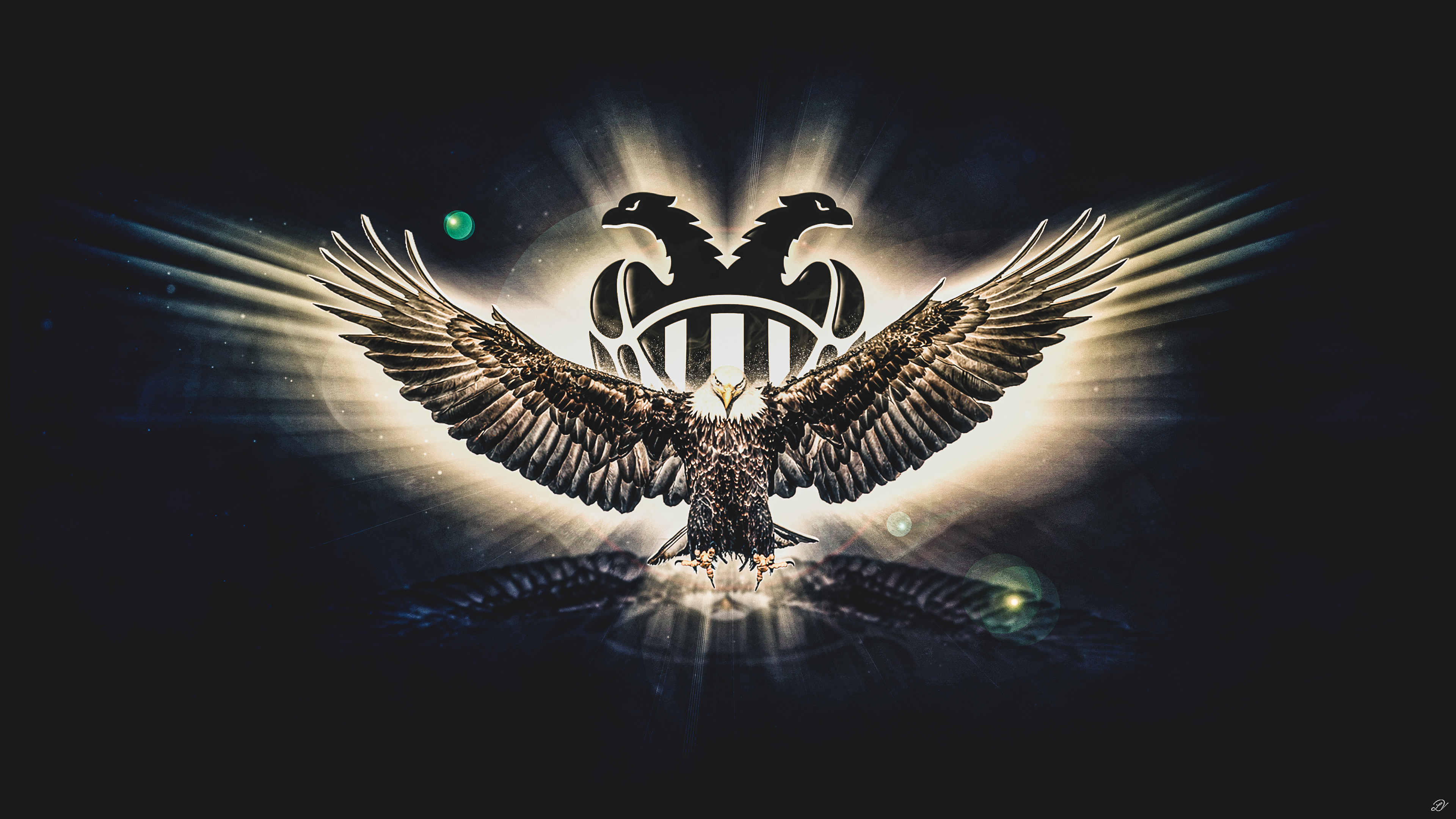 PAOK Thessaloniki Eagle Shine 4K Wallpaper – PAOK Thessaloniki Eagle Shine 4K Wallpaper –